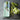 Benriner mandolin slicing a cucumber into thin even rounds