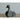 Grey Ducky